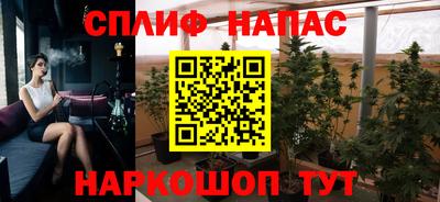 ГАЛЛЮЦИНОГЕННЫЕ ГРИБЫ Славгород