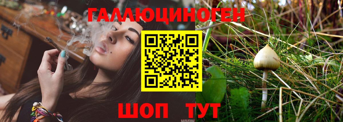 Псилоцибиновые грибы мицелий  Вход с VPN  Псилоцибиновые грибы MAGIC MUSHROOMS  Армавир 