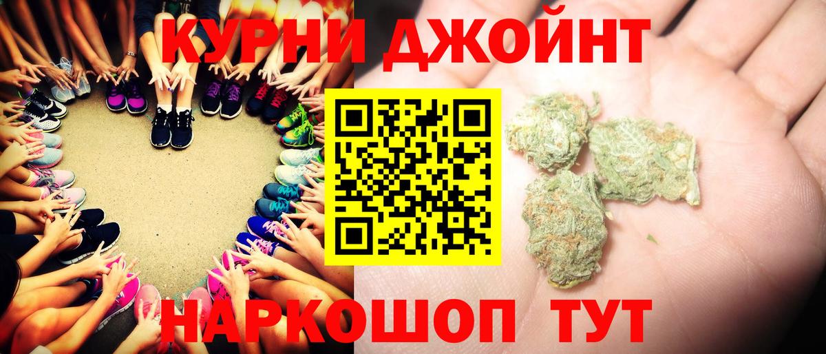 Каннабис сатива Армавир